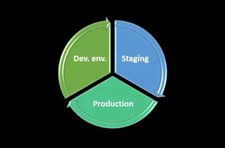Mediile de deployment si ciclul de viata al unui release software (SRLC)